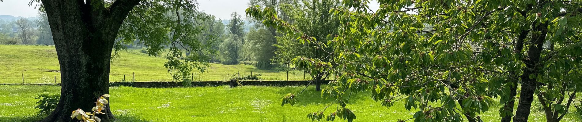 Tocht Stappen Maroilles - Maroilles 14 km - Photo