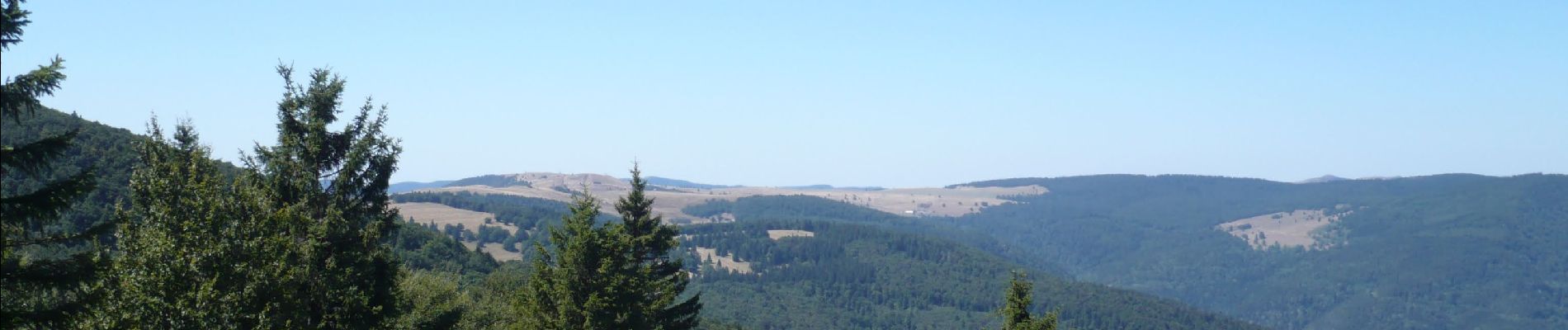 Excursión Senderismo Goldbach-Altenbach - Firstacker - Grand Ballon (11/08/2022) - Photo