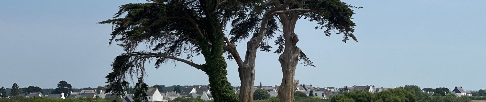 Randonnée Marche Riantec - Île de Kernec - Photo