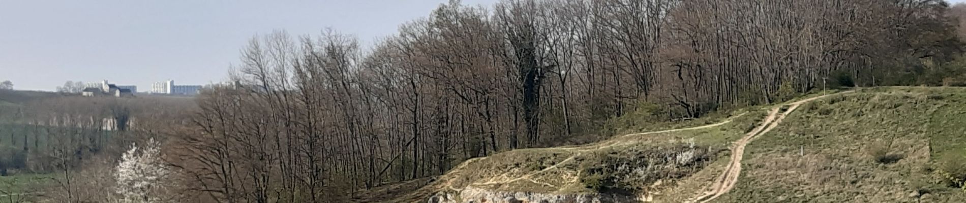 Randonnée Marche Riemst - autour de Kanne  - Photo