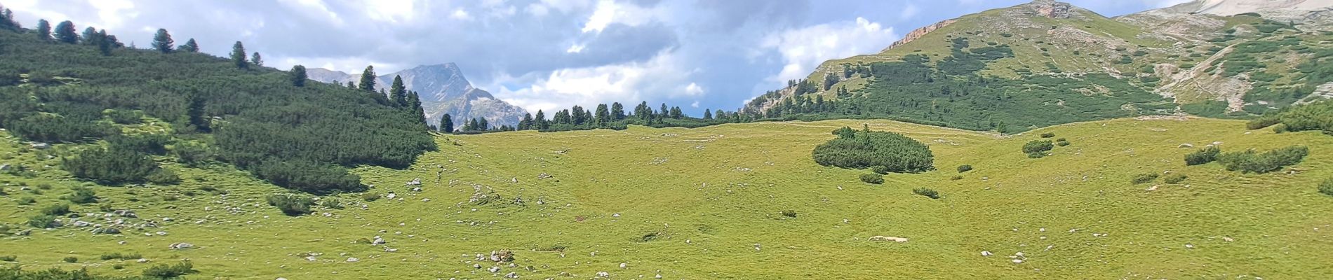 Tour Wandern Enneberg - DOLOMITES 03 - Refugio Sennes 2126 m - Photo