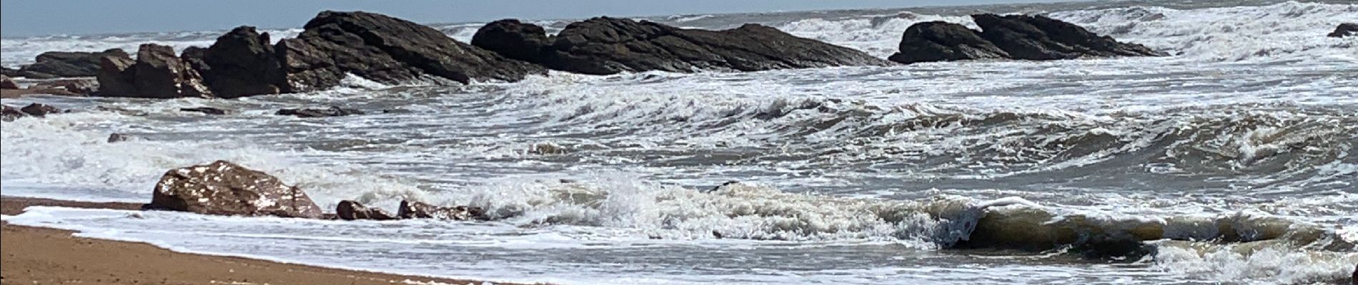 Tour Wandern Les Sables-d'Olonne - Zot/tinou le mehnir  - Photo