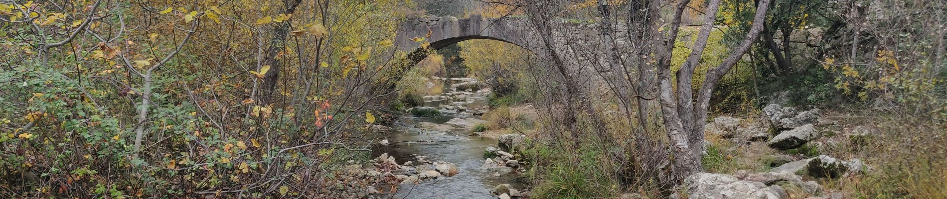 Tour Wandern Tourves - Le Caramy - Photo