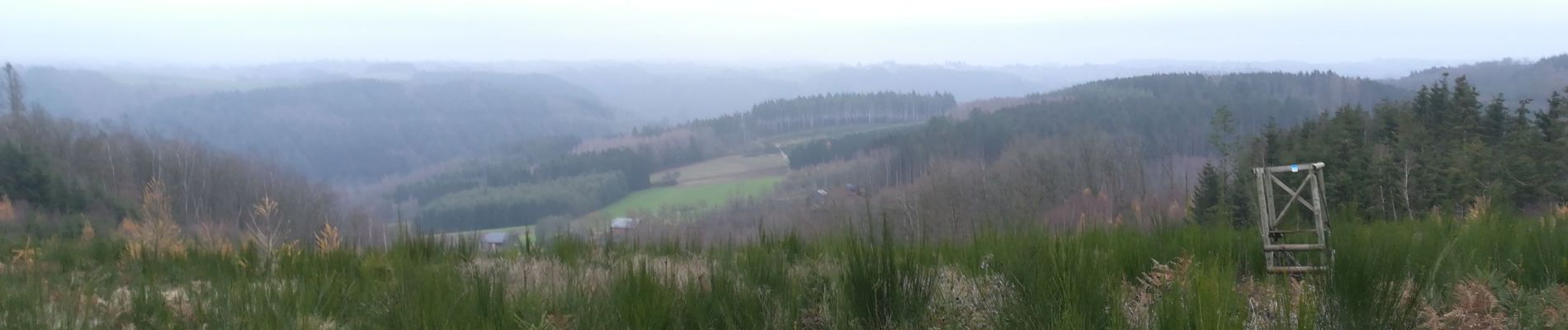 Randonnée Marche La Roche-en-Ardenne - Maboge  - Photo