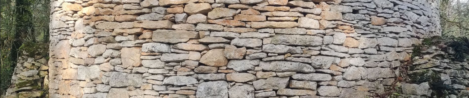 Excursión Senderismo Savignac-les-Églises - les Causses - Photo