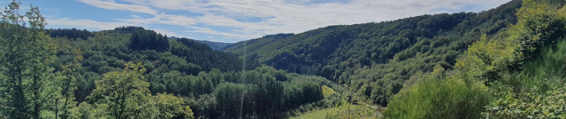 Tocht Stappen Bouillon - rando rochehaut 8/09/2020 - Photo