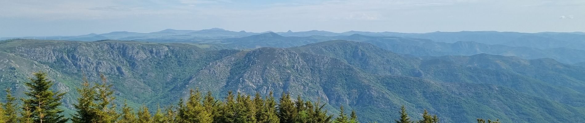 Tocht Stappen La Souche - Rocher d'Abraham par la Tour des Poignets - Photo