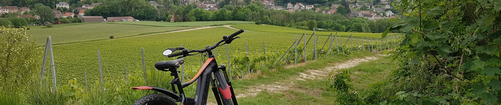 Tocht Mountainbike Château-Thierry - Tour en vélo du 1er septembre 2021 - Photo