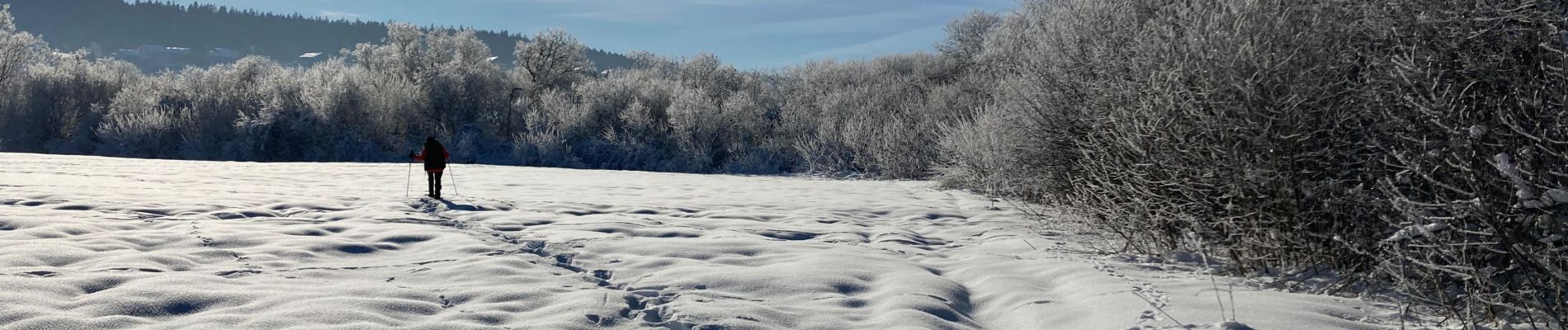 Randonnée Raquettes à neige Grande-Rivière-Château - Lac de l abbaye - Photo