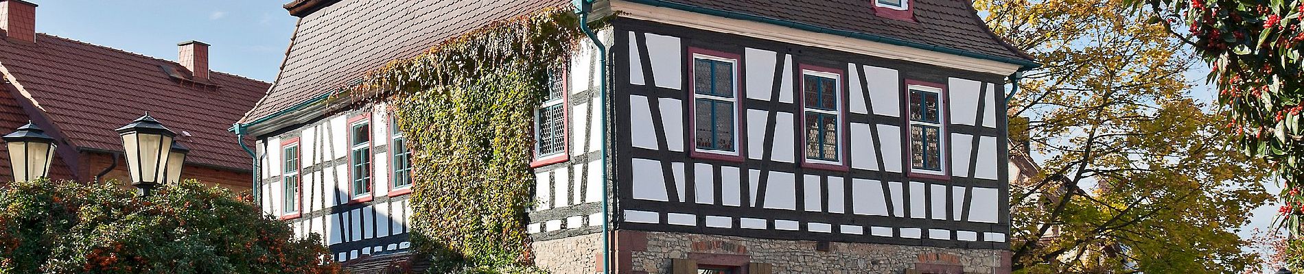 Tour Zu Fuß Rodenbach - Spessartbogen Zubringer Niederrodenbach - Burgberg - Photo