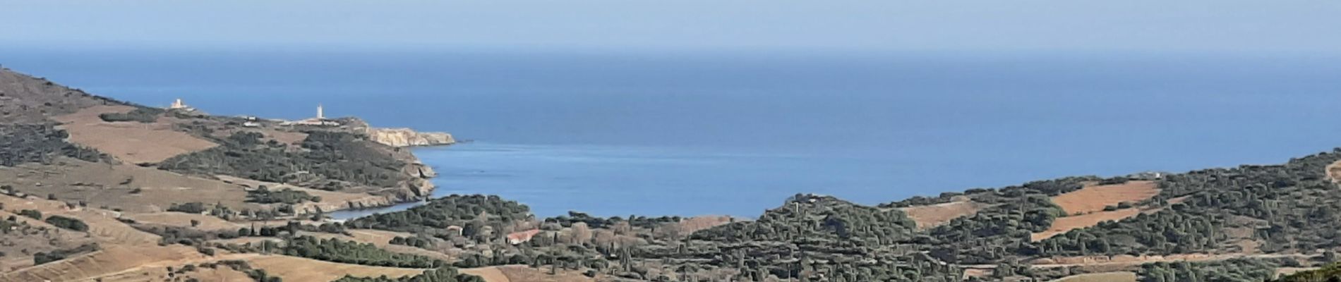 Trail Walking Port-Vendres - paulilles banyuls - Photo