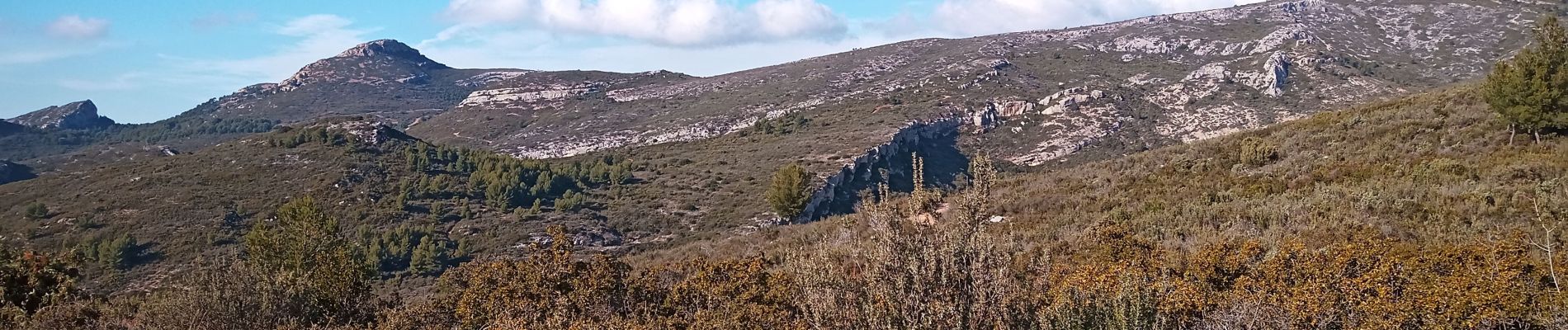 Tocht Stappen Aubagne - Eoures Garlaban - Photo