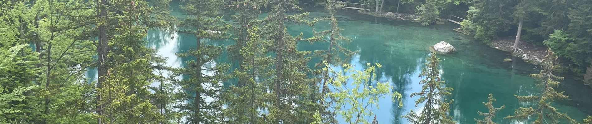 Tocht Stappen Passy - Plaine Joux, Barnus, le lac vert - Photo