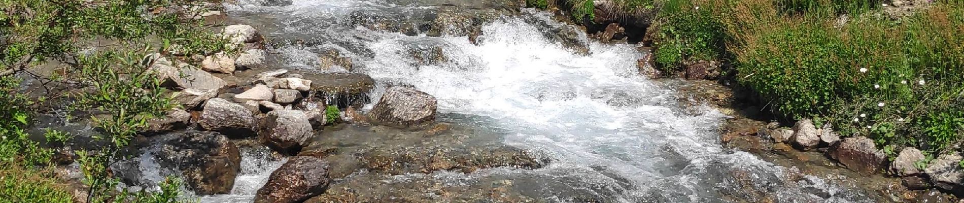 Tour Wandern Bonneval-sur-Arc - le Duis - Mumu - Photo