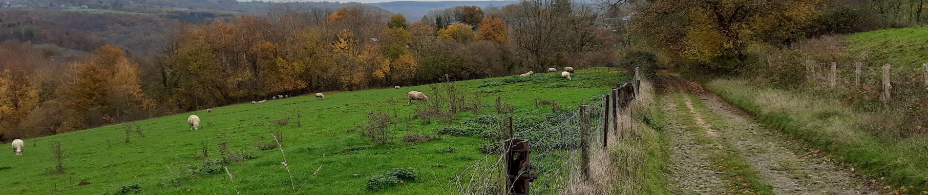 Tocht Stappen Aywaille - Martinrive  - Photo