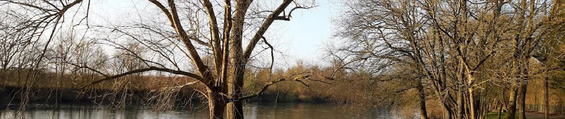 Randonnée Marche Conflans-sur-Seine - au départ de CONFLANS sur SEINE - Photo