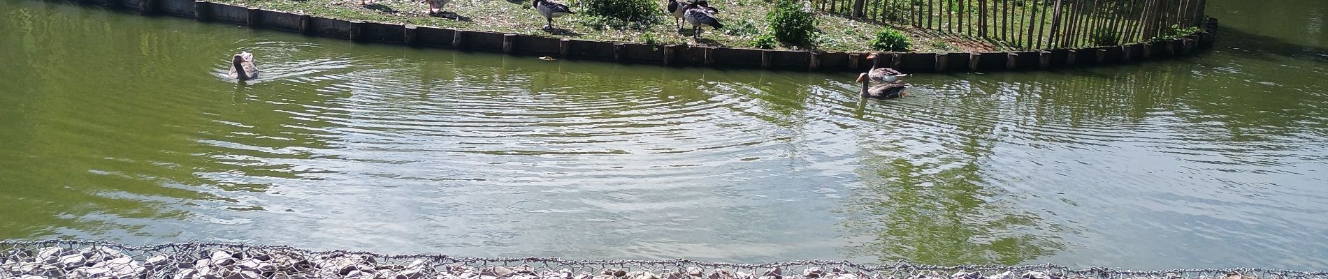 Tour Wandern Forges-les-Eaux - Forges les Eaux.Vers la fontaine de la Chevrette  - Photo