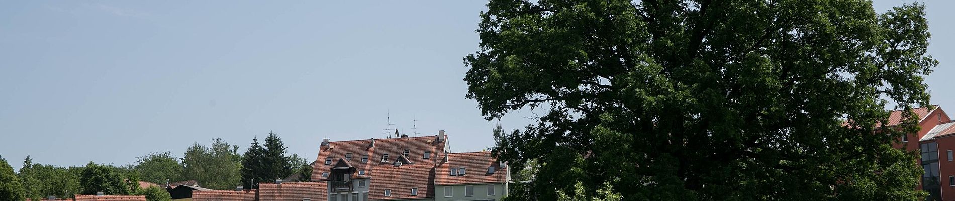 Tour Zu Fuß Sankt Josef - Wanderweg 17 - Photo