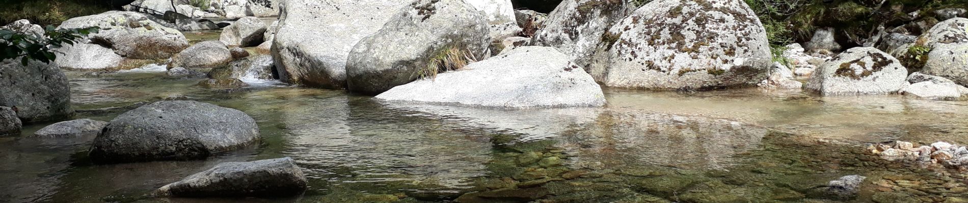 Tour Wandern Pont de Montvert - Sud Mont Lozère - Pont Lozère versant sud : beal de Felgerolles Pont du Tarn  - Photo