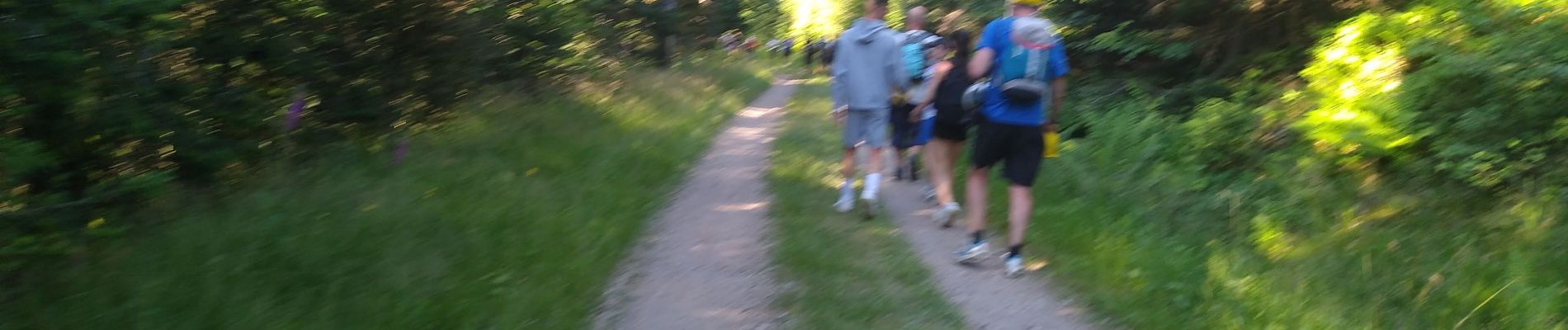 Trail Walking Plancher-les-Mines - tour France 2022 retour planche des belles filles  - Photo