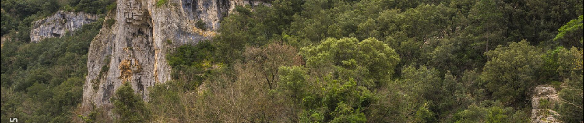 Randonnée Marche Vallon-Pont-d'Arc - Les Balcons de l'Ibie 13km. - Photo