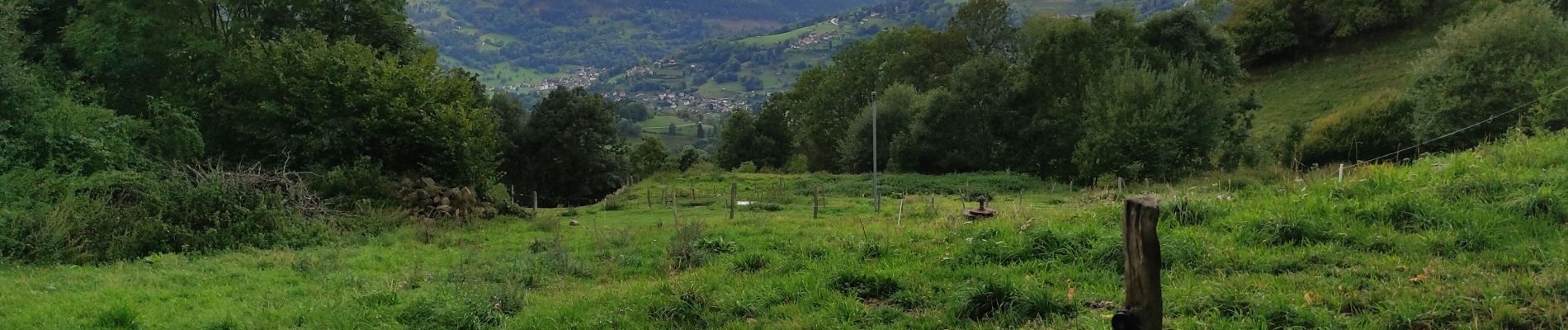 Excursión Senderismo Orbey - ,Glasborn Pierres Tremblent es Hohrodberg  - Photo