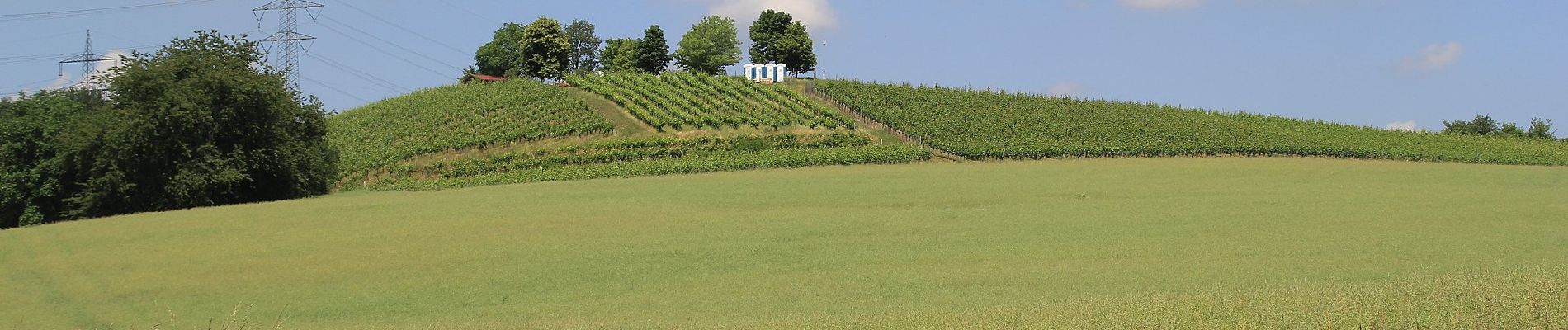 Percorso A piedi Alzenau - Schwarzer Keiler, Rundwanderweg Alzenau - Wanderparkplatz Mühlmark - Photo