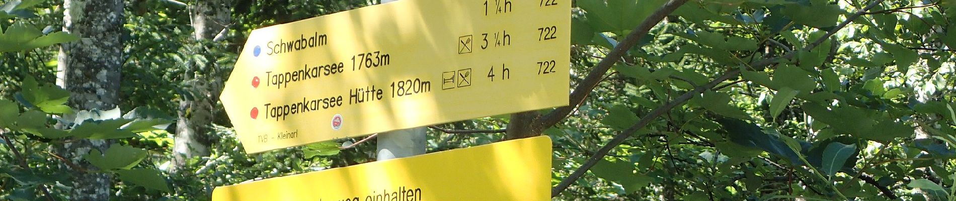 Tour Zu Fuß Kleinarl - Wanderweg 722 - Photo