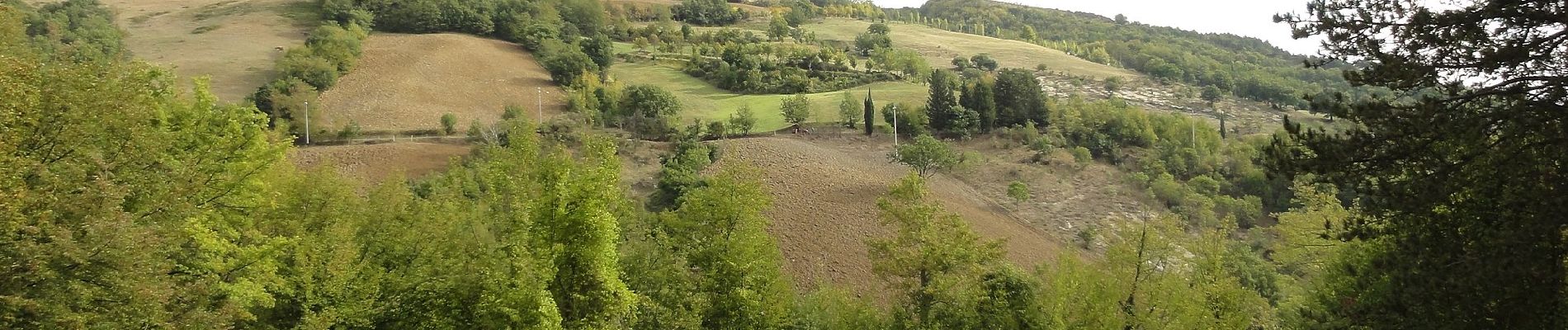 Trail On foot Brisighella - IT-13 - Photo