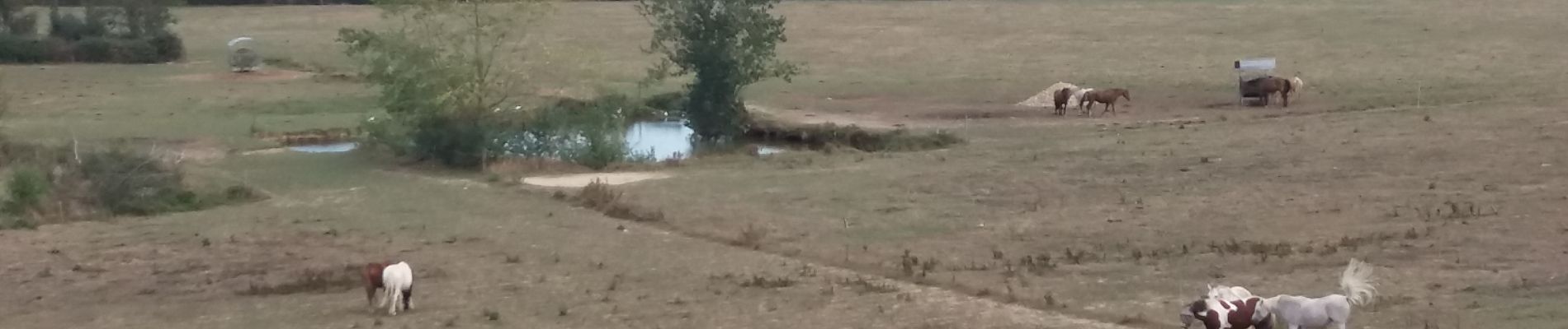 Tocht Stappen Brindas - brindas à messimy et plus loin - Photo