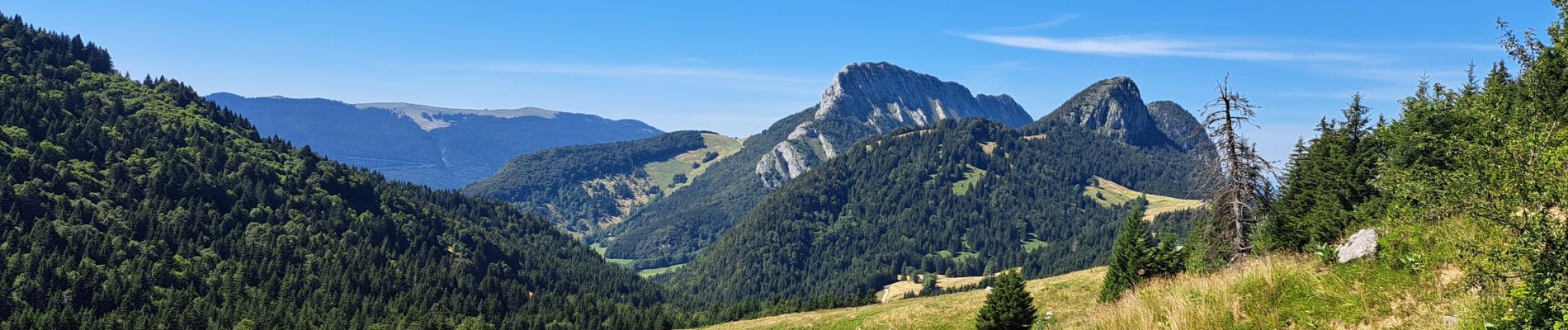 Trail Walking Bellecombe-en-Bauges - Tour de BancPlat, Dent des portes en partant du petit reposoir  - Photo