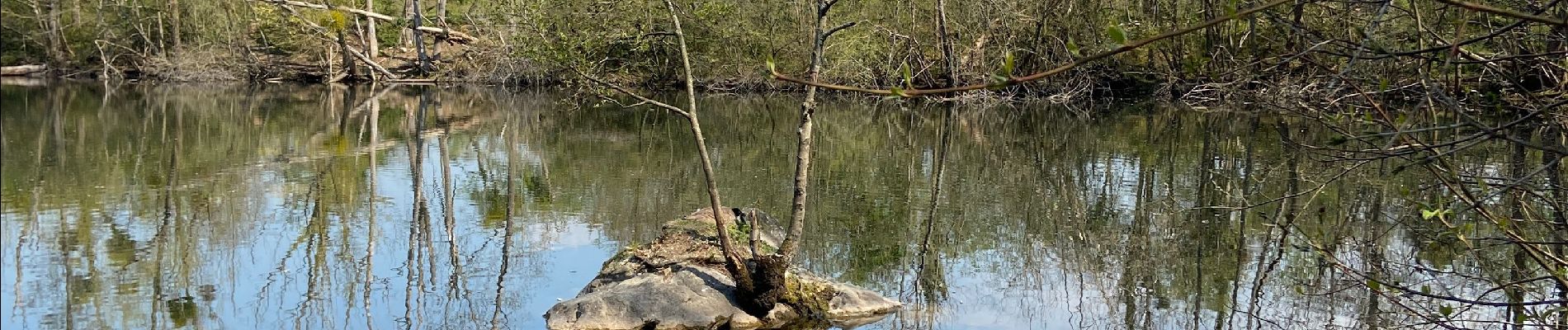 Trail Walking Seine-Port - Seine port 2 - Photo