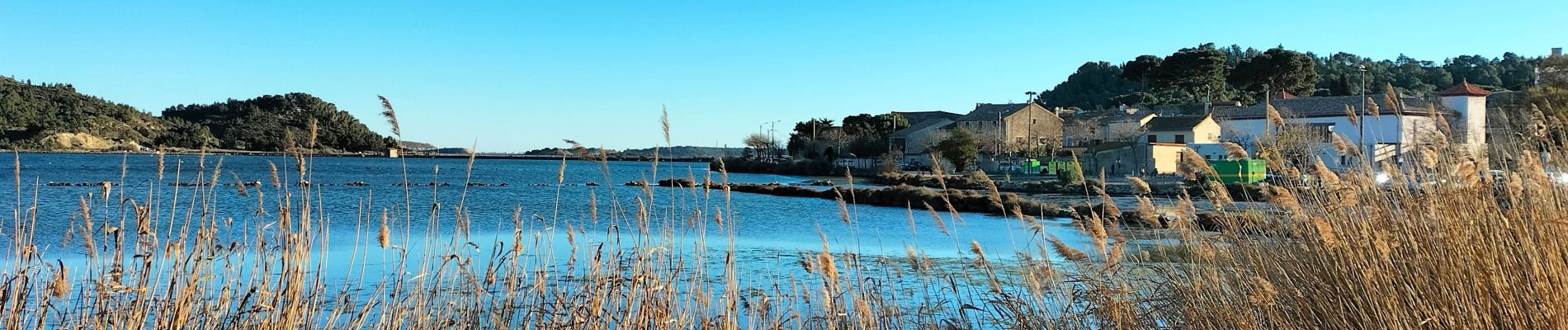 Tocht Stappen Peyriac-de-Mer - peyrac de mer - Photo