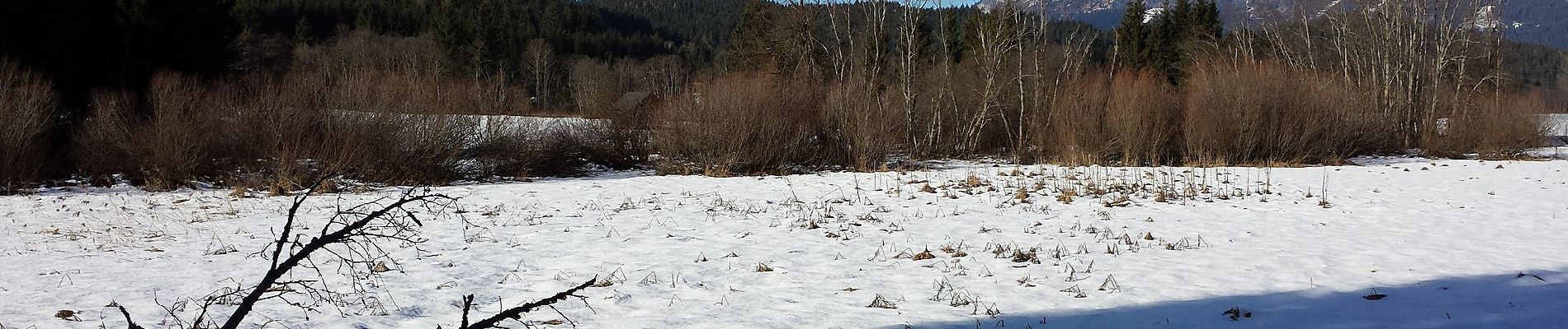 Tour Zu Fuß Bad Mitterndorf - Waldsteig - Photo