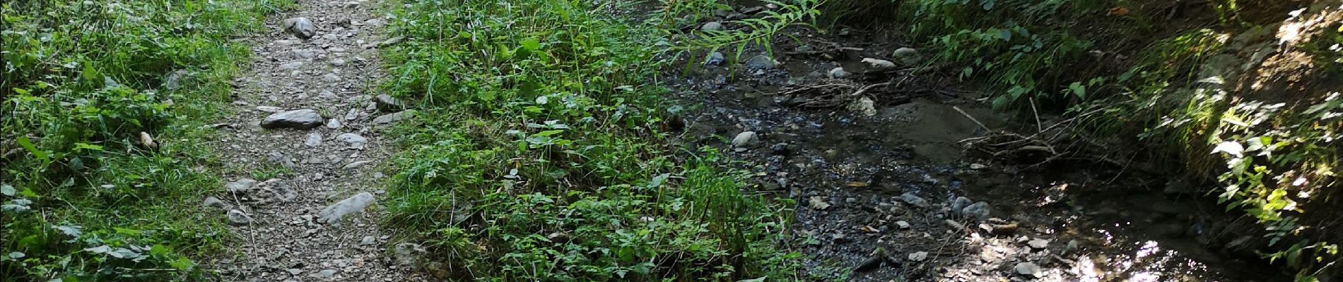 Excursión Marcha nórdica Arbaz - Bitailla  - Photo