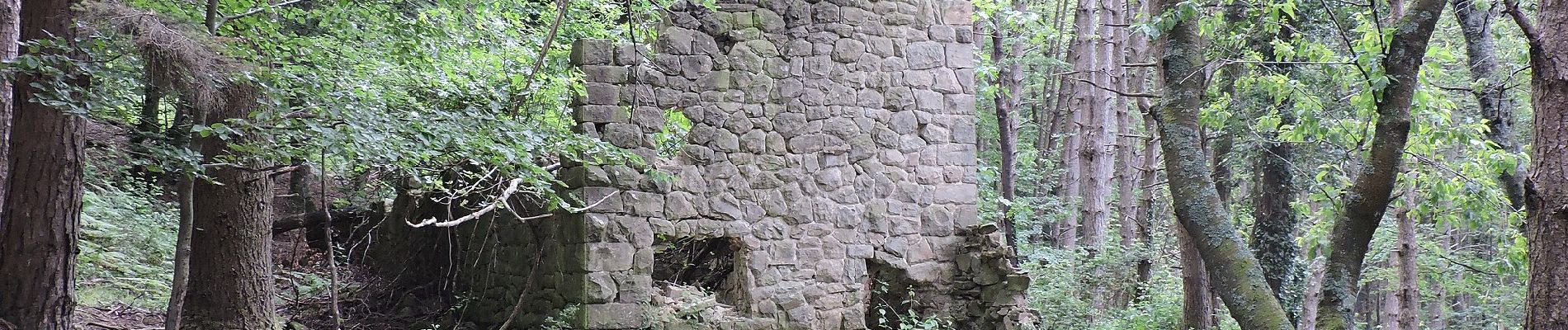 Percorso A piedi Pistoia - Sentiero CAI 34 - Sez. Prato - Photo