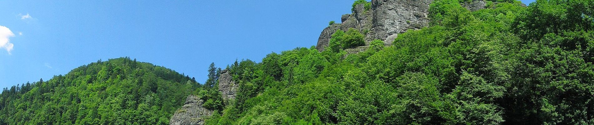 Tour Zu Fuß Unknown - Sălard - Valea Sălard - Valea Șolea - Culmea Fâncel (Vf. Gropșan) - Photo