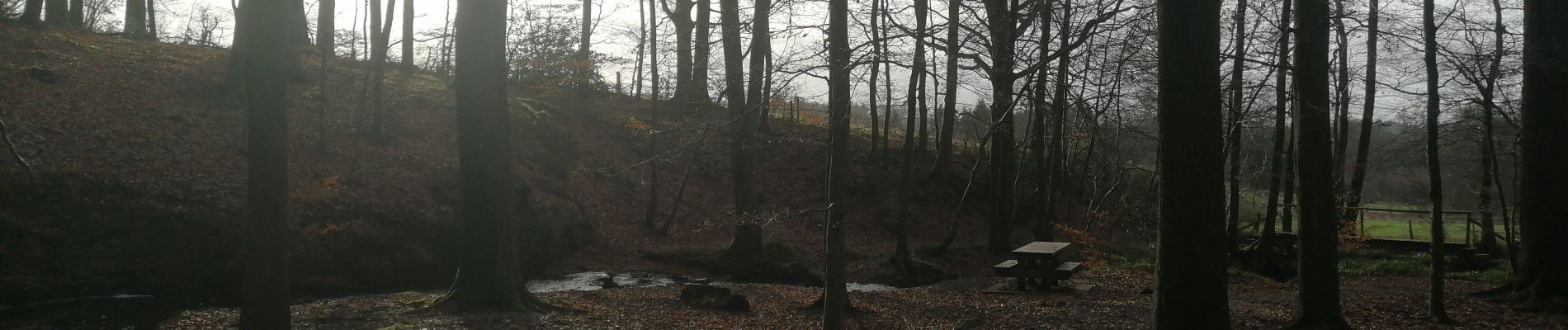 Trail Walking Jalhay - pont de Belheid - Photo