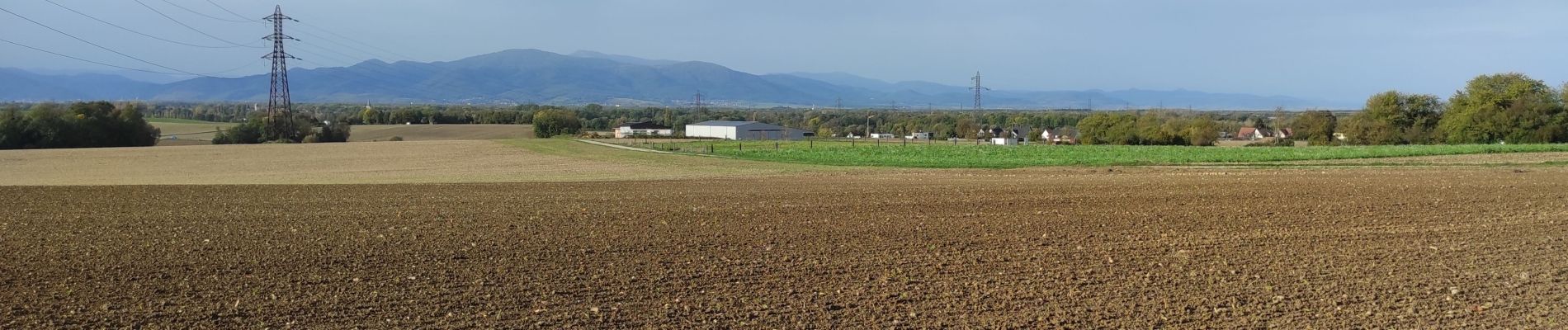 Randonnée Marche Heimsbrunn - Heimsbrunn Morsch retour par Reiningue  - Photo