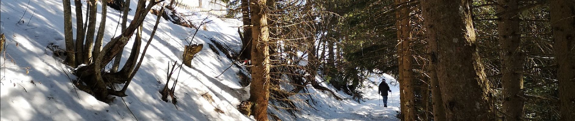 Tocht Noords wandelen Arbaz - bisse de Sion  - Photo