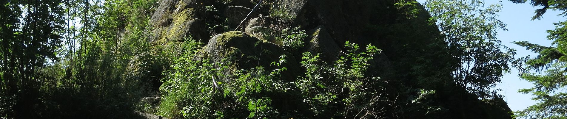 Tocht Te voet Hornberg - Hornberg - Bäracker - Photo