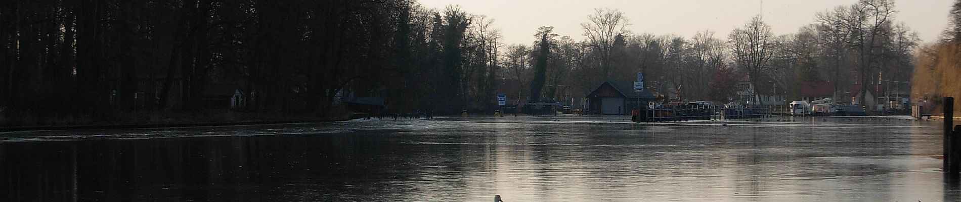 Tour Zu Fuß Königs Wusterhausen - Rundweg Krüpelsee - Photo