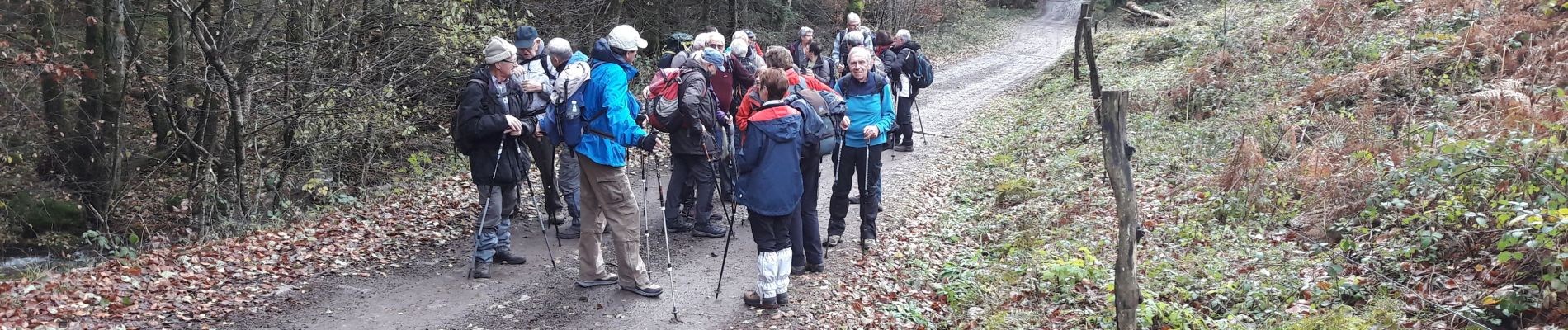 Excursión Senderismo Sewen - 2019.11.26.Seven - Photo