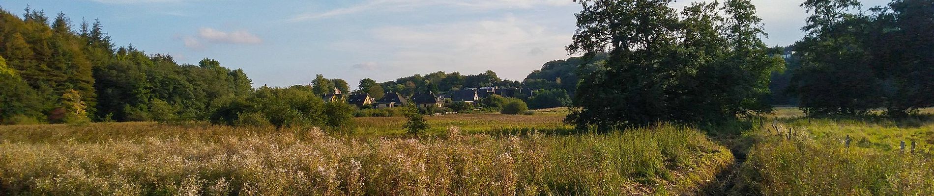 Randonnée A pied Harrislee - Rundwanderweg 5: Kupfermühle - Photo