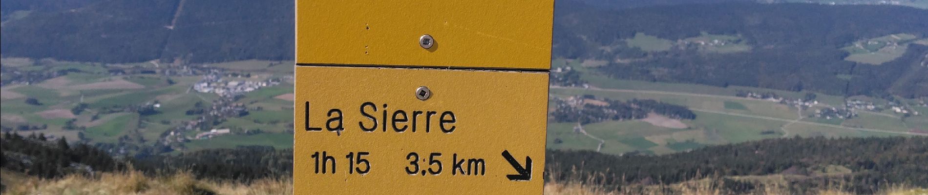 Tour Wandern Lans-en-Vercors - Pic Saint Michel-Les Allières - Photo