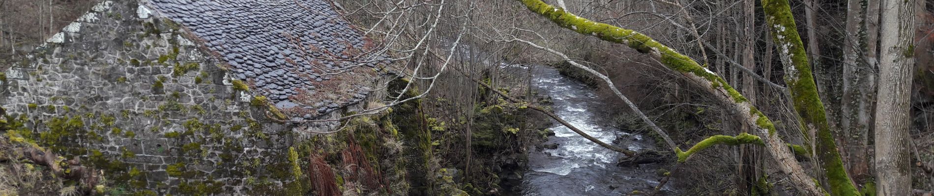 Trail Walking Besse-et-Saint-Anastaise - besse - Photo