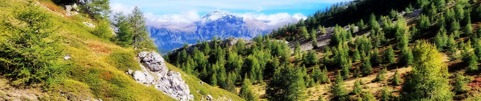 Tour Wandern Saint-Jean-Saint-Nicolas - Col du Palastre et pointe de la Prouveyrat via les Richards - Photo