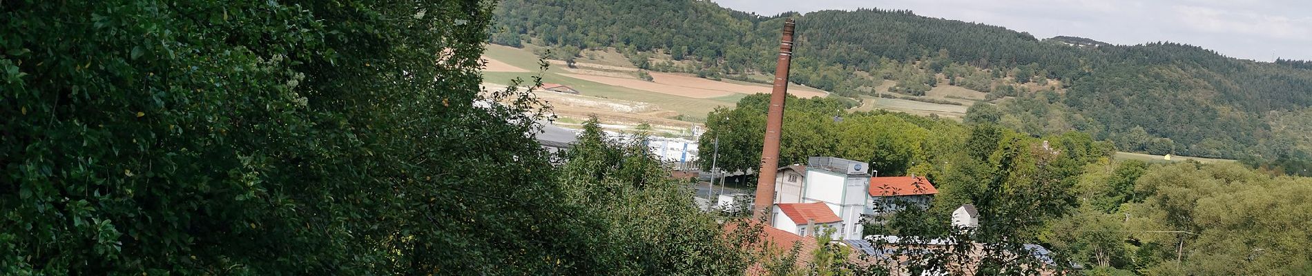 Tour Zu Fuß Werbach - Rundwanderweg Gamburg 4 - Photo