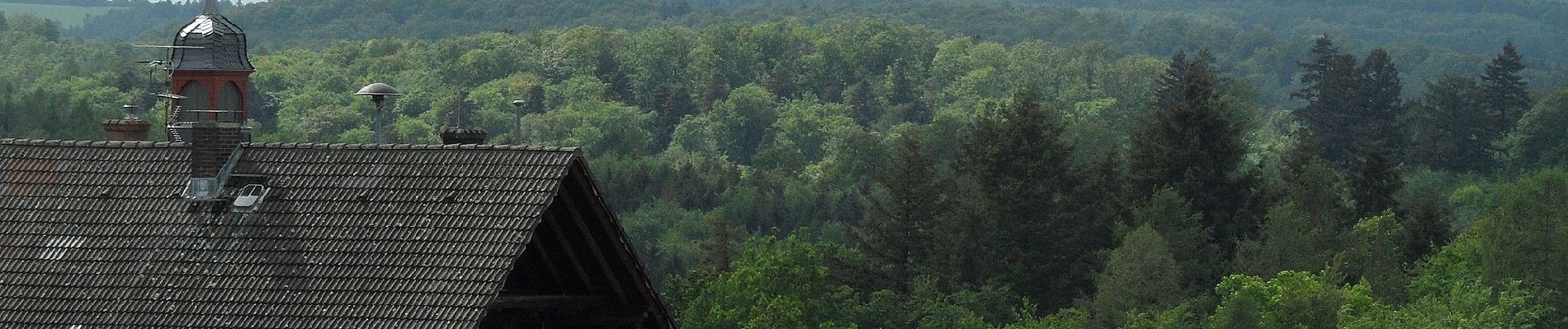 Tour Zu Fuß Fischbachtal - Rundwanderweg Fischbachtal 1 : Panoramaweg - Photo