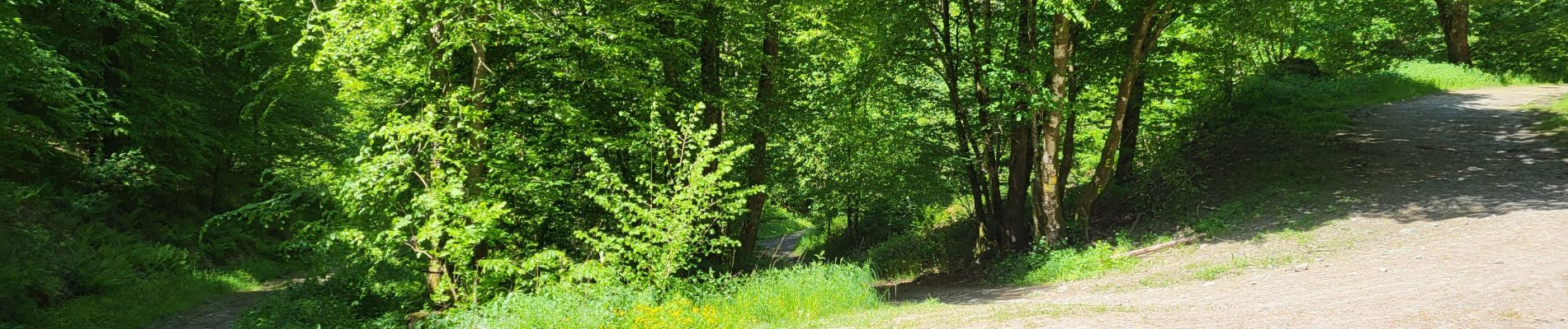 Randonnée Marche Bouillon - Botassart 240523 - Photo